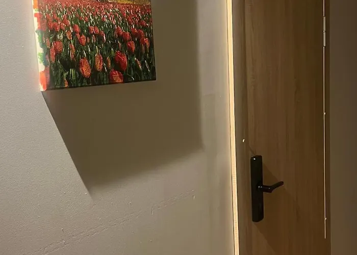 Apartamentai Kauno Centre *