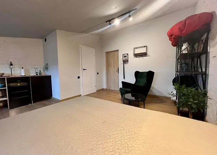 Apartamentai Kauno Centre Apartment